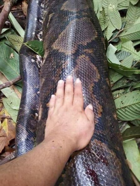 Python 1