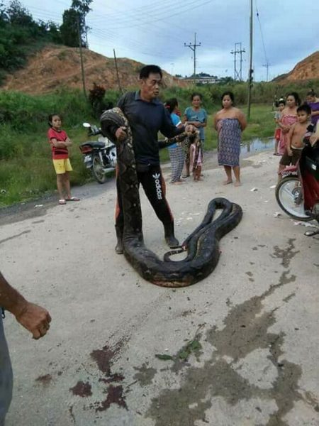 Python 6