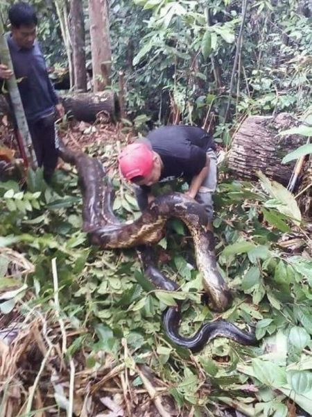 Python 9