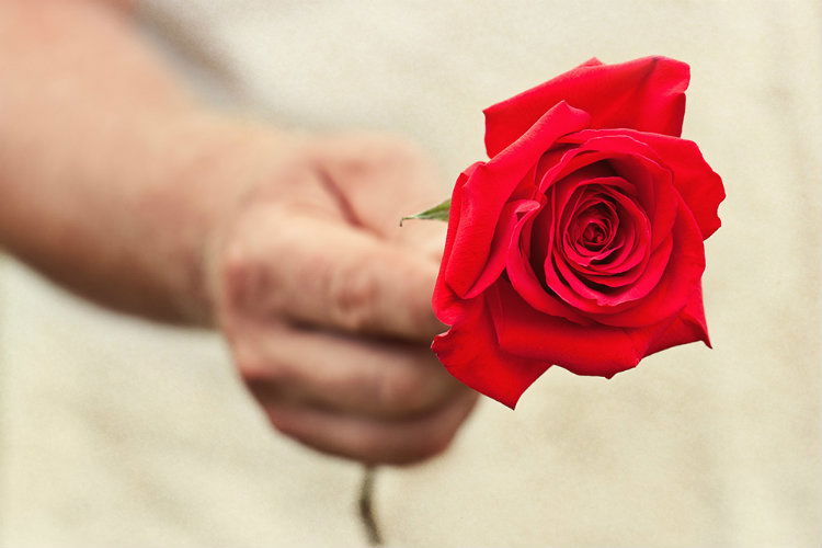 ROSE 1