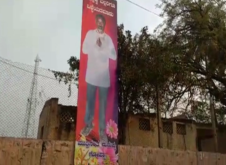 blg cutout 6