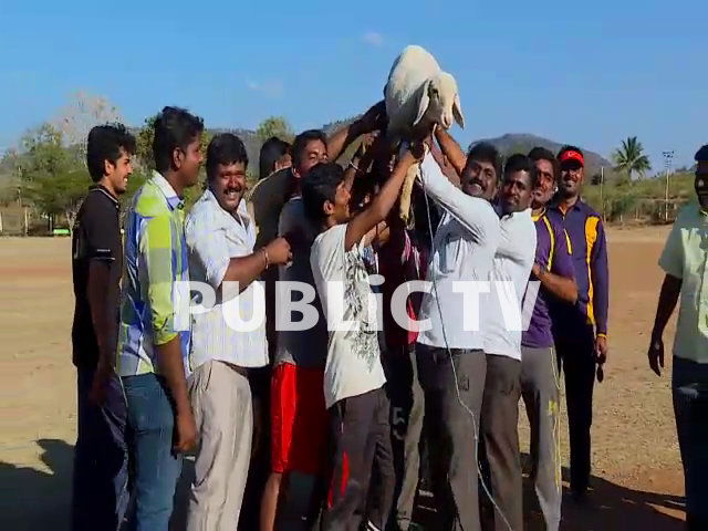 cng cricket 10
