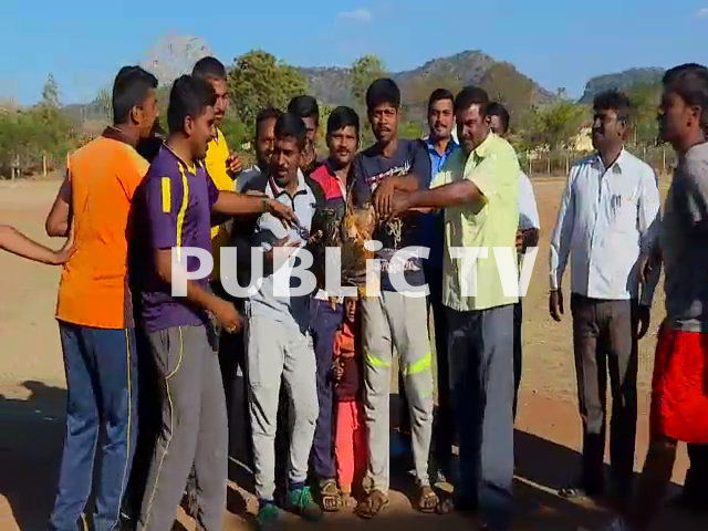 cng cricket 5