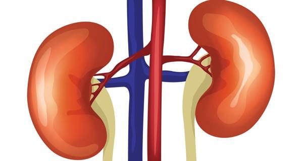 kidney disease