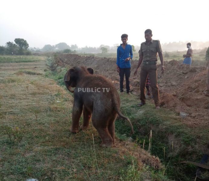 ANE ELEPHANT RESCUE AV 3
