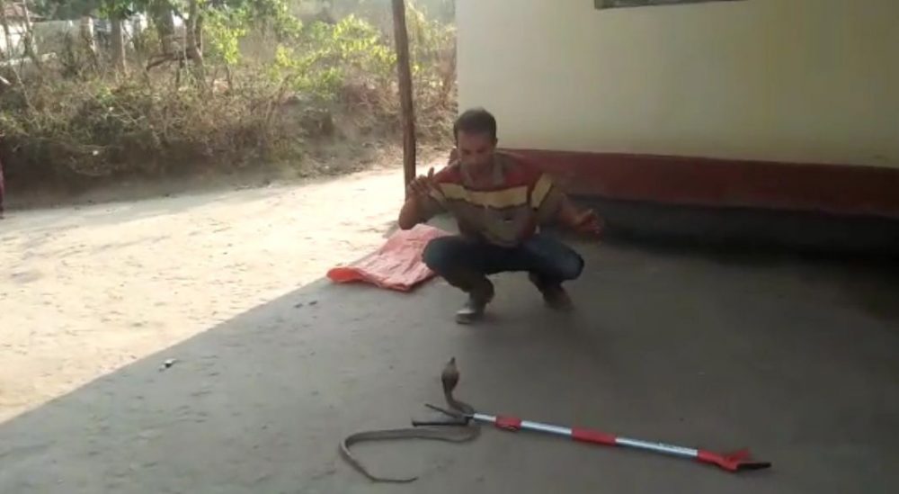CKM SNAKE 2