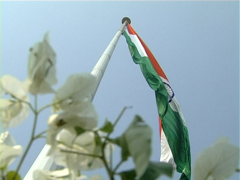 FLAG 2