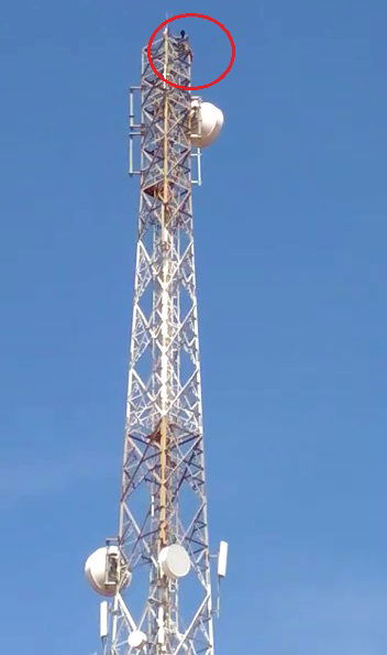 HSN 1