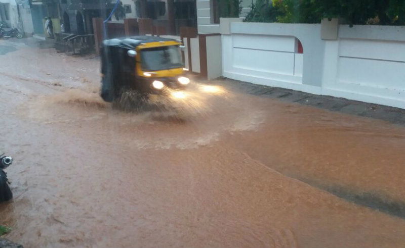 MNG RAIN 1