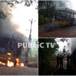 MNG SCHOOL BUS COLLAGE