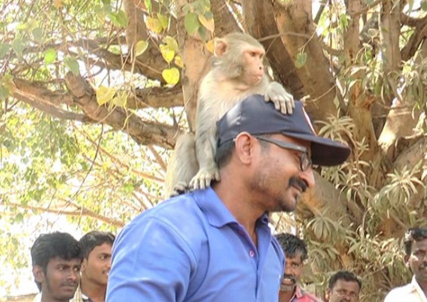 MONKEY TEMPLE 4