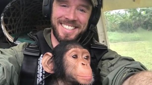 chimpanzee pilot 4