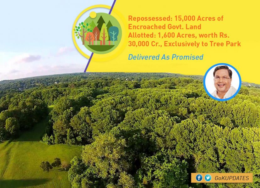 cm forest