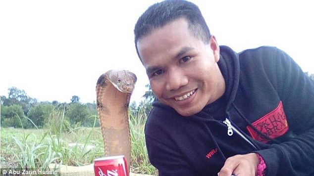 cobra