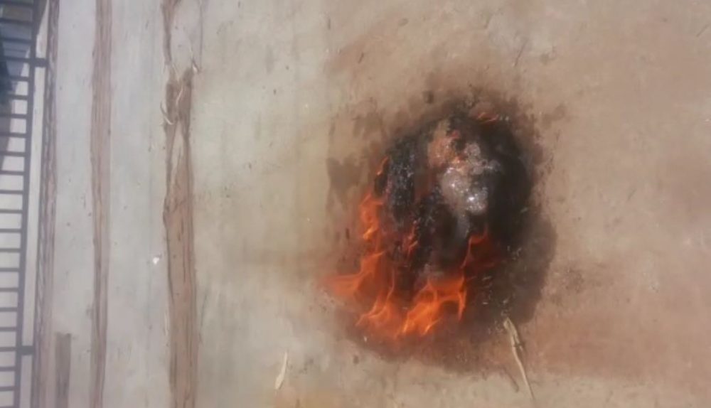 MNC TREE FIRE