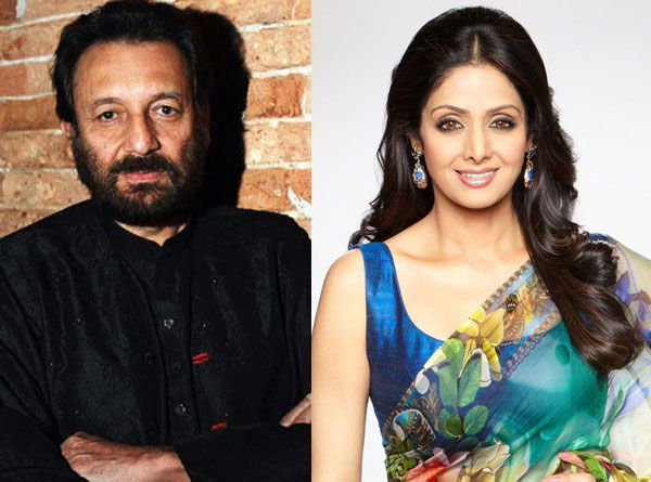 Shekhar kapor Sridevi