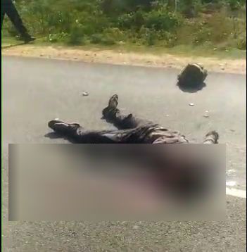 TMK ACCIDENT
