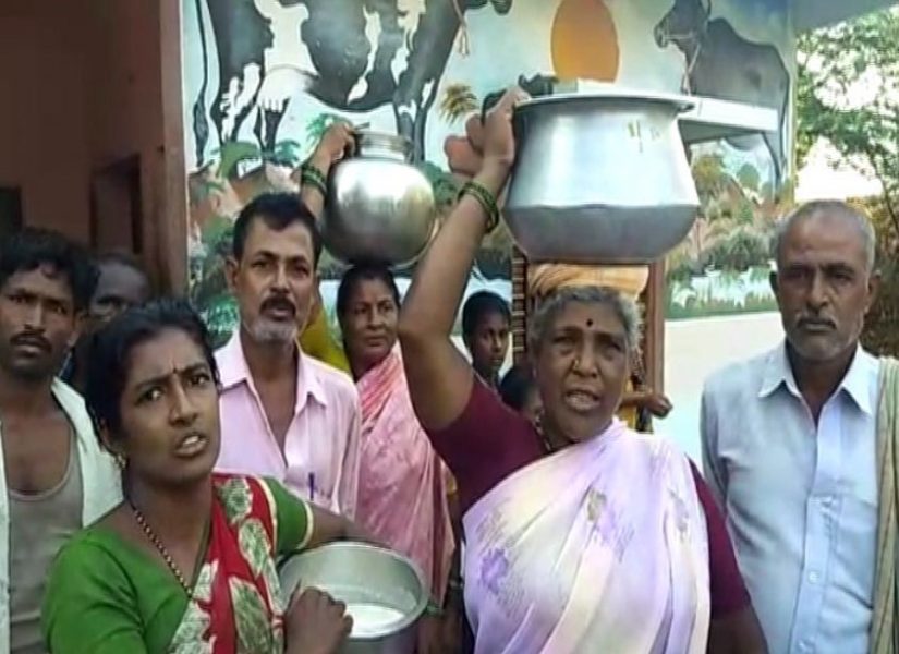 TMK MILK BAN 3