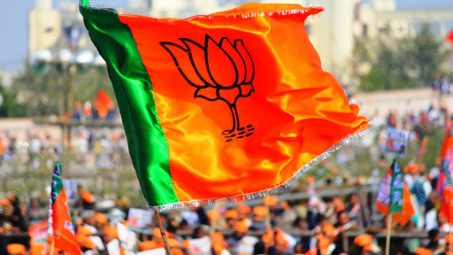 bjp flag