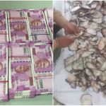 new indian currency