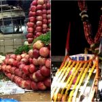 BLY APPLE DKSHI