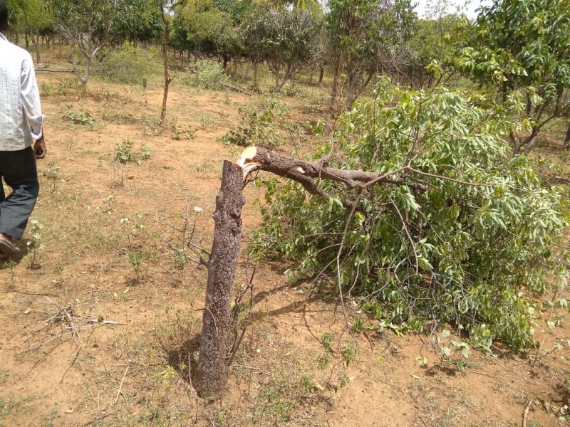 CKB SREEGHANDHA THEFT AV 2