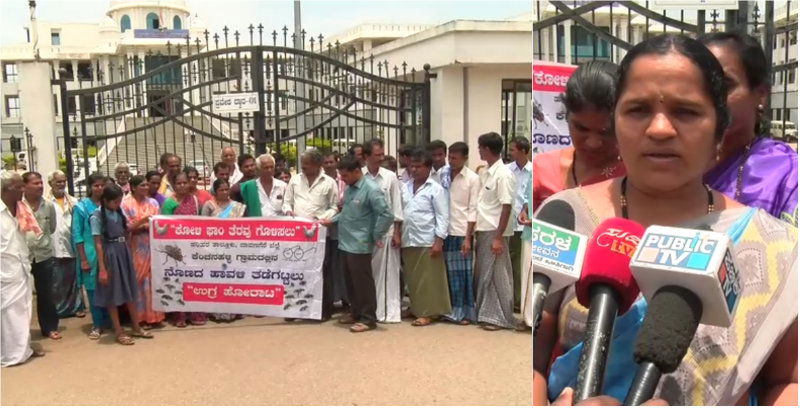DVG FLY PROTEST