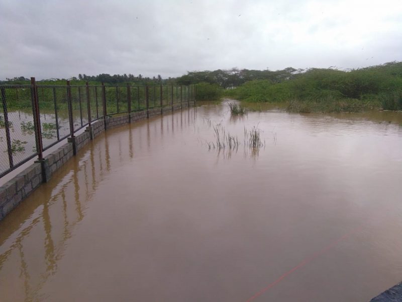 DVG RAIN EFFCT AV 4