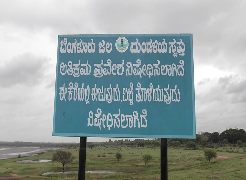 Hesaraghatta Forest 3