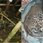 Kerala Snake crocodile