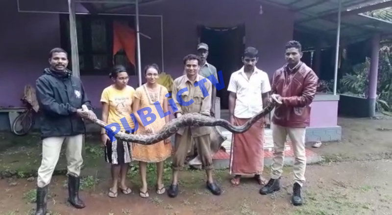 MDK HEBBAVU 1