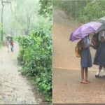 MDK RAIN