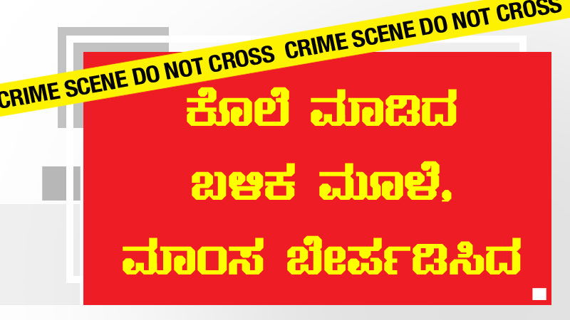 Murder arrest 4