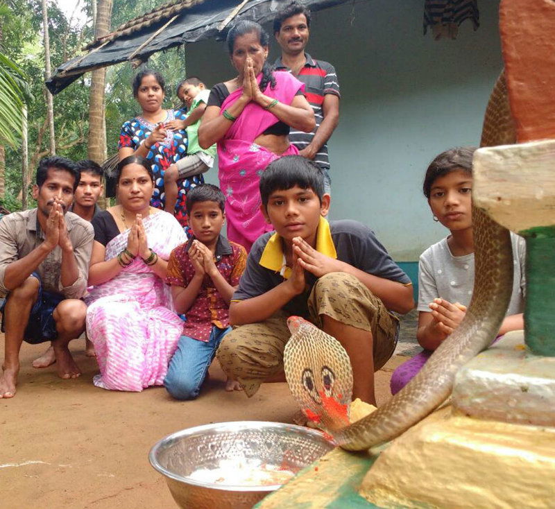 Nagara Panchami 8