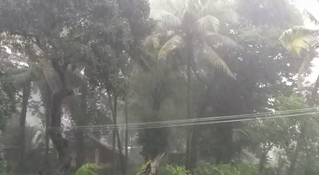 RAIN 1