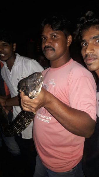 Udp kalinga sarpa 3