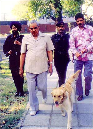 dogg