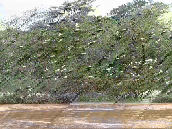 mandagadde bird sanctuary shimoga