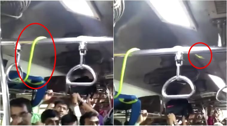 mumbai local train snake 759