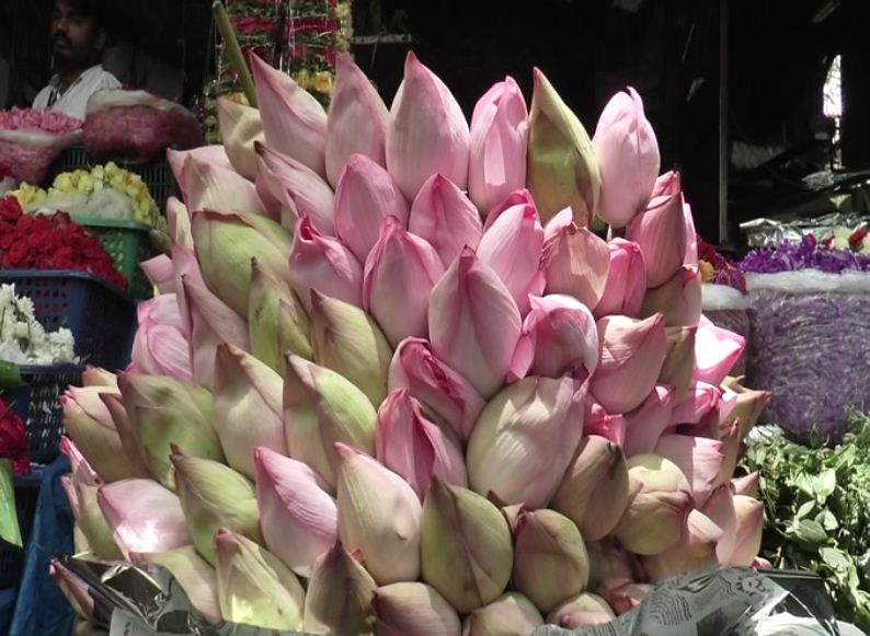 varamahalakshmi flowers 6