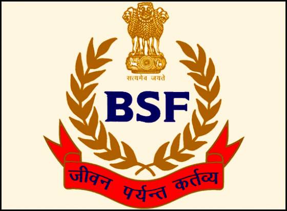 BSF logo