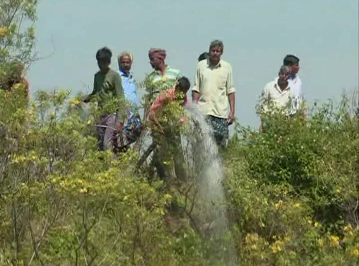CKM Kaduru 3