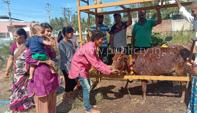 Ckm cow save 1 copy