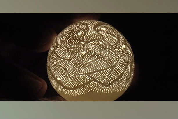 EGG1