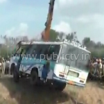 MND BUS copy