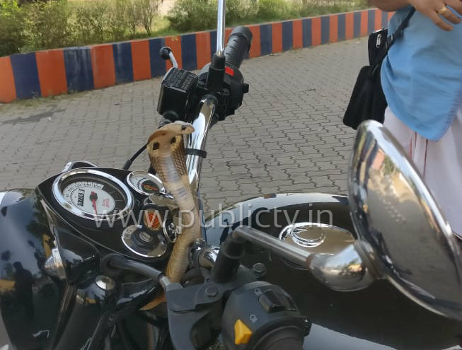 MNG SNAKE IN BIKE AV 3 copy