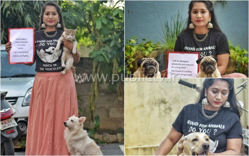 deepawali animal collage 2 copy