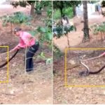 CKM SNAKE