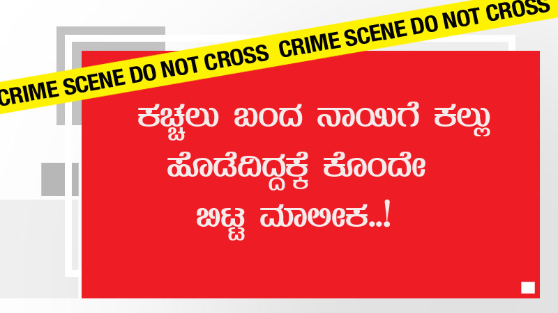 CRIME 01 copy 2