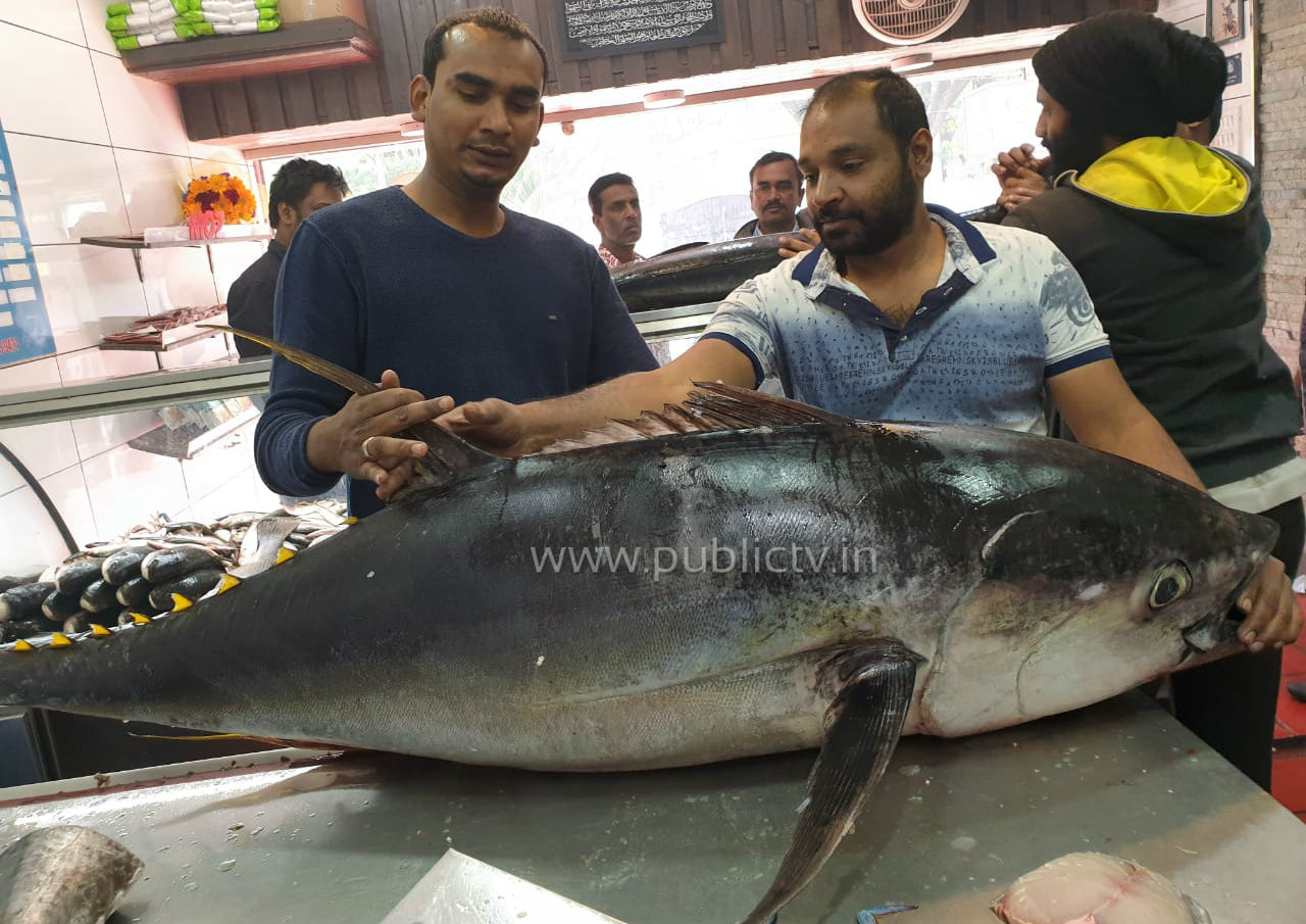 FISH copy